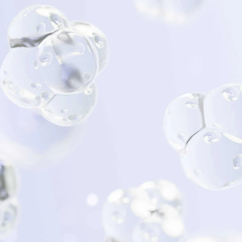 NIMNI COLLAGEN SUPPORT COMPLEX